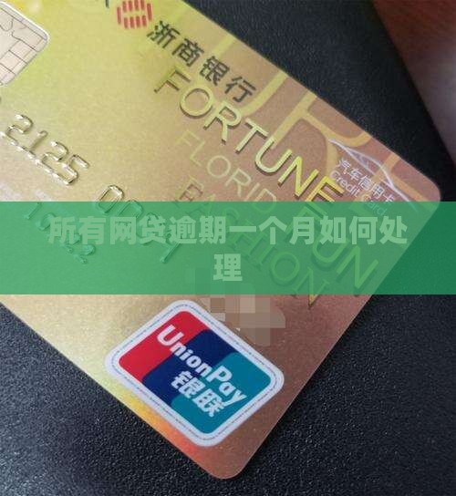 所有网贷逾期一个月如何处理