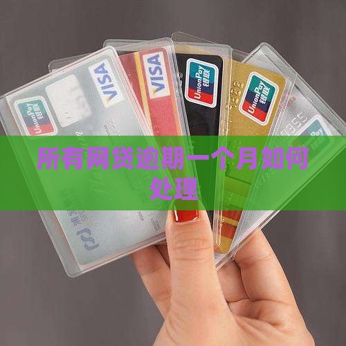 所有网贷逾期一个月如何处理