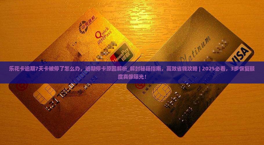 乐花卡逾期7天卡被停了怎么办