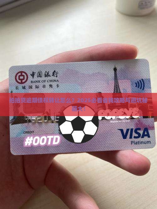 拍拍贷逾期债权转让怎么办理