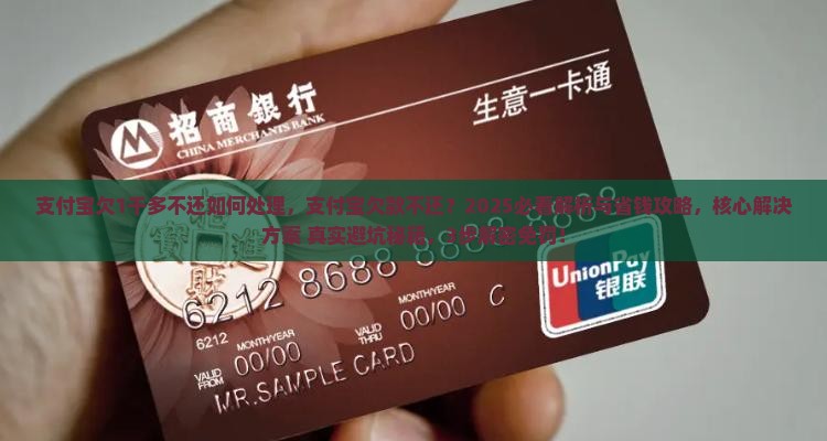 支付宝欠1千多不还如何处理