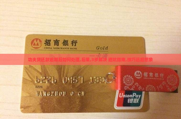功夫贷还款逾期后如何处理