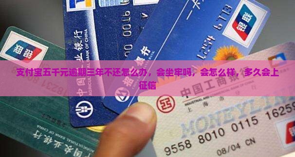 支付宝五千元逾期三年不还怎么办