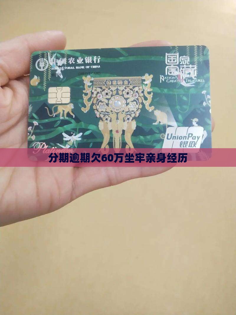 分期乐欠60万坐牢亲身经历