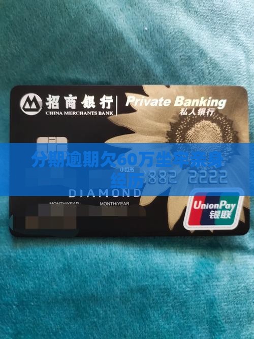 分期乐欠60万坐牢亲身经历
