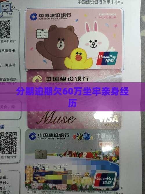 分期乐欠60万坐牢亲身经历