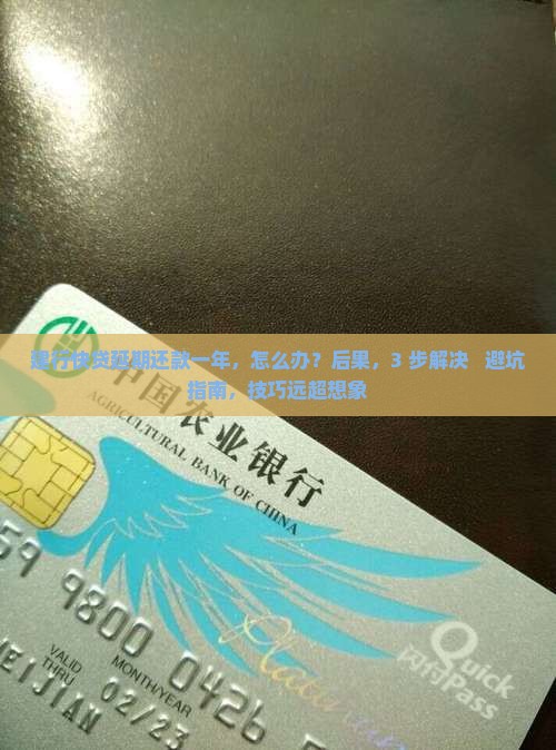 建行快贷延期还款一年