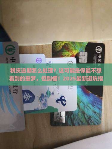 税贷逾期怎么处理