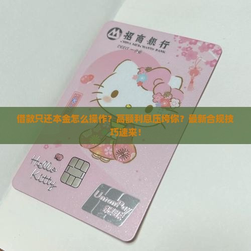 现金借款只还本金怎么操作
