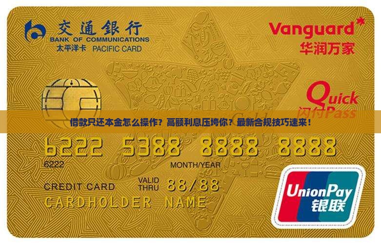 现金借款只还本金怎么操作