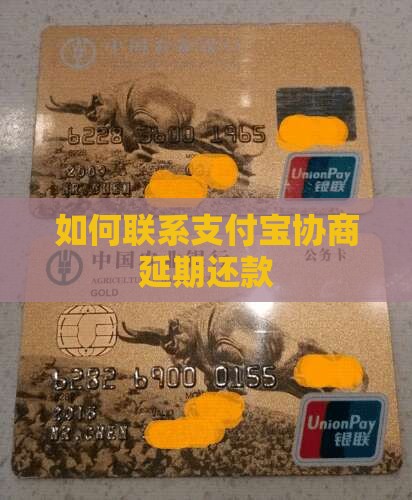 如何联系支付宝协商延期还款