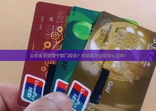 公积金害怕哪个部门投诉