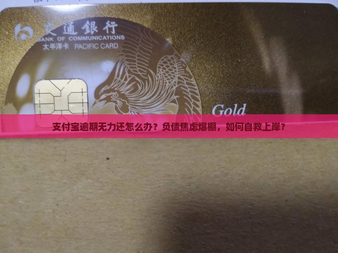 支付宝逾期无力还怎么办