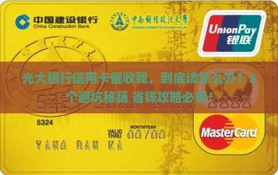 被光大银行信用卡催收经历