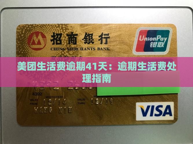 美团生活费逾期41天