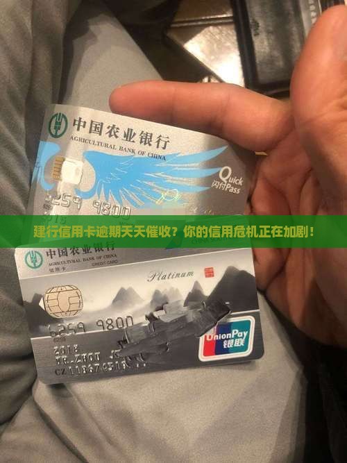 建行信用卡逾期天天催收