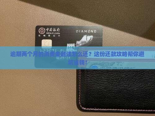 消费金融逾期两个月怎么办还款