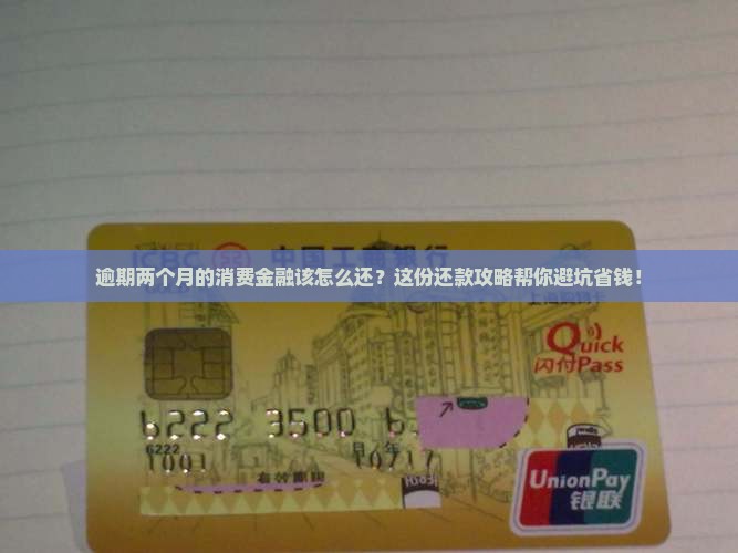 消费金融逾期两个月怎么办还款