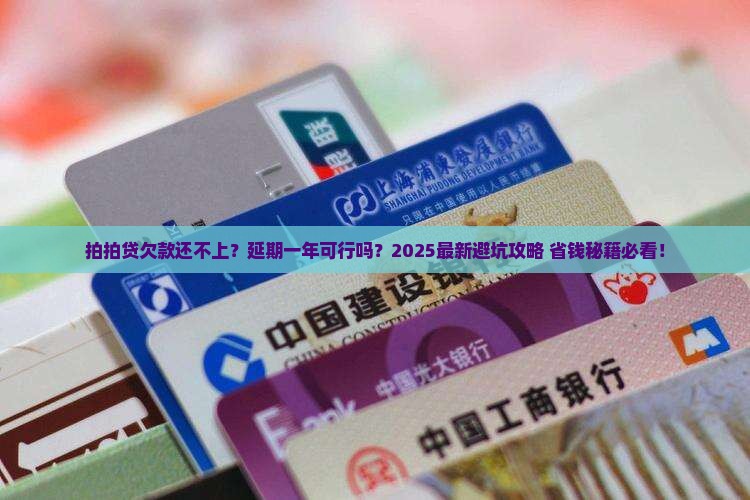 拍拍贷能不能商量延期还款一年问题解决方案