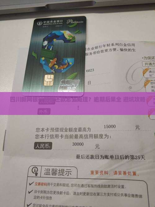 四川新网银行逾期还款怎么处理