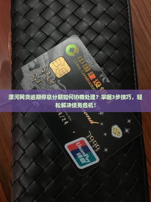 漯河网贷逾期停息分期如何协商处理