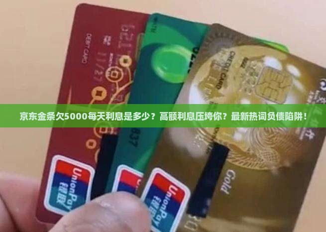 京东金条欠5000每天利息是多少