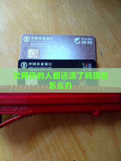 欠网贷的人都还清了吗现在怎么办