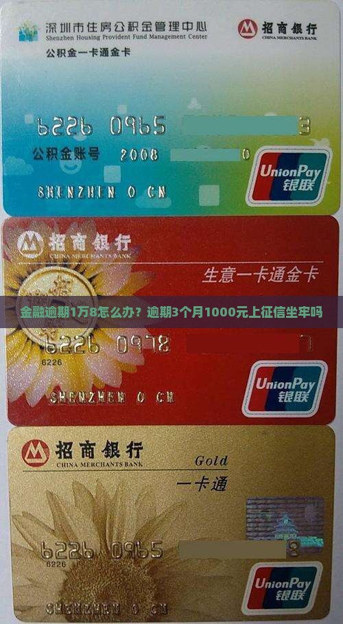 金融逾期1万8怎么办？逾期3个月1000元上征信坐牢吗