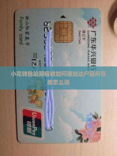 小花钱包逾期催收如何通知达户籍所在地怎么说