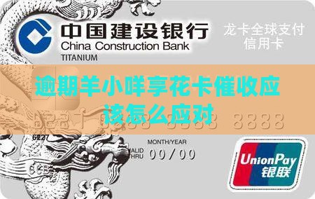 羊小咩享花卡逾期催收应该怎么处理