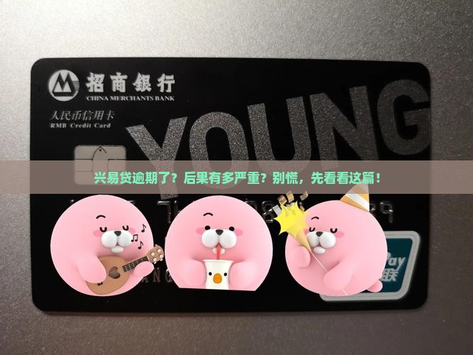 兴易贷逾期后会发生什么