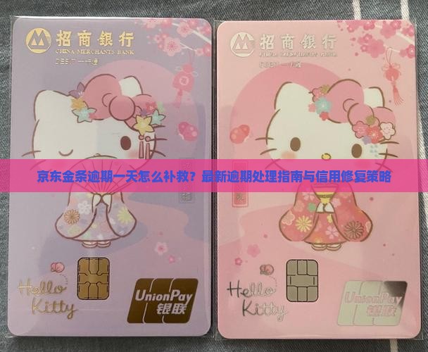京东金条逾期补救的办法如何操作