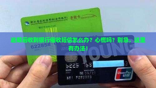 逾期以后银行催收短信如何处理