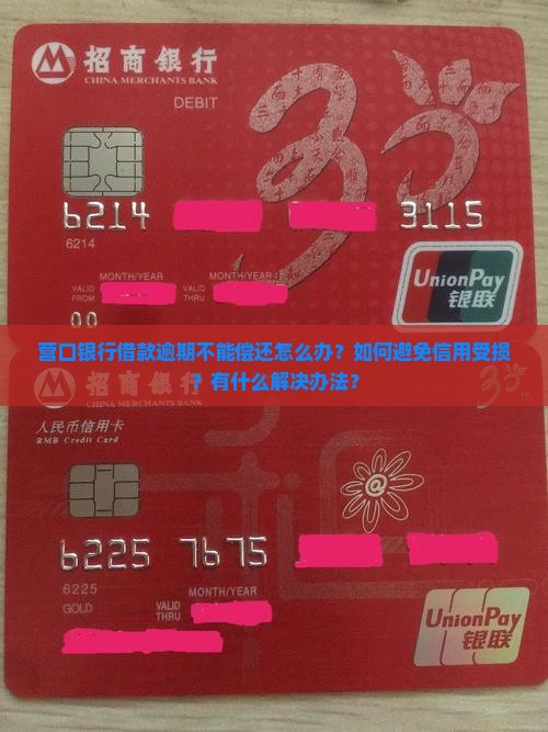 营口银行借款不能还怎么办