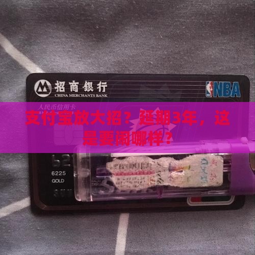支付宝延期3年是否可行