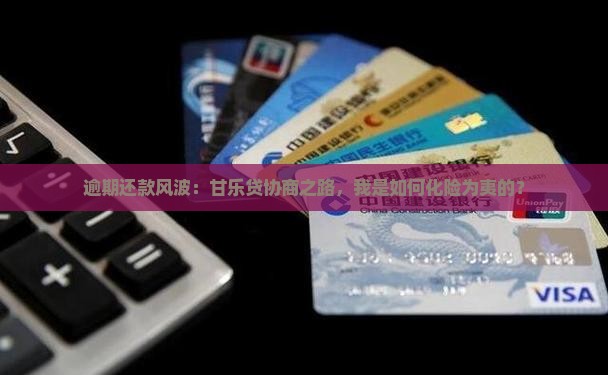 甘乐贷逾期协商经历
