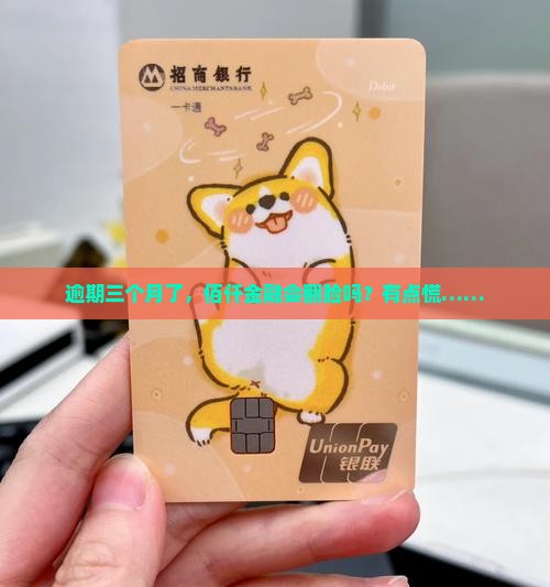 佰仟金融逾期三个月后会怎样