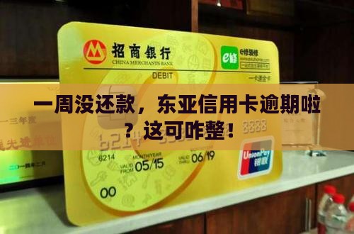 东亚银行信用卡逾期一周