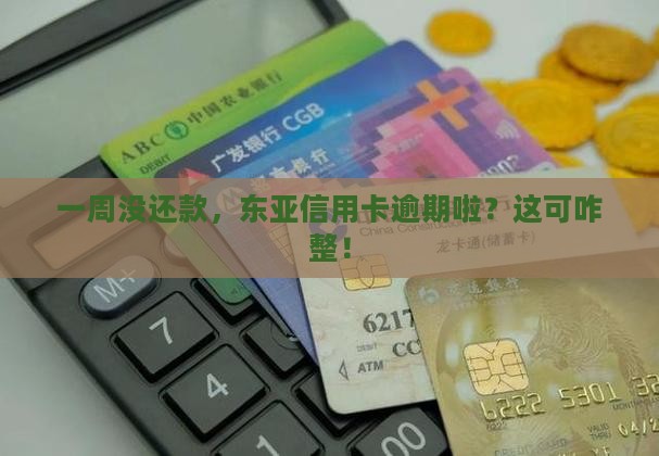 东亚银行信用卡逾期一周