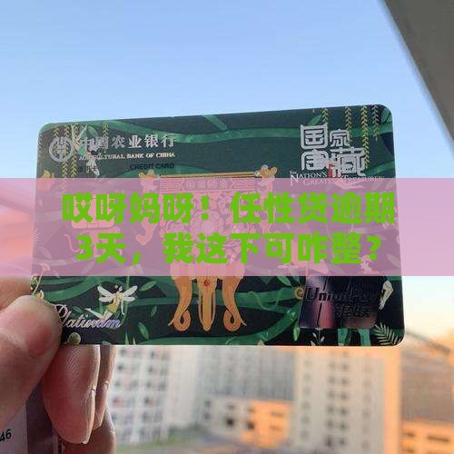任性贷逾期3天