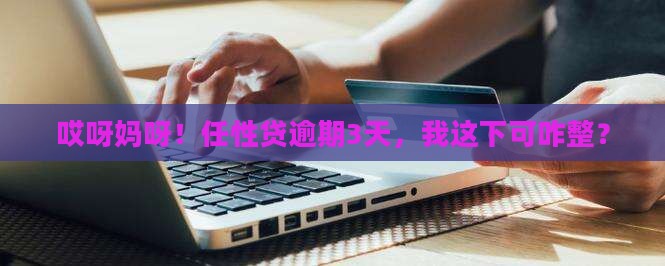 任性贷逾期3天