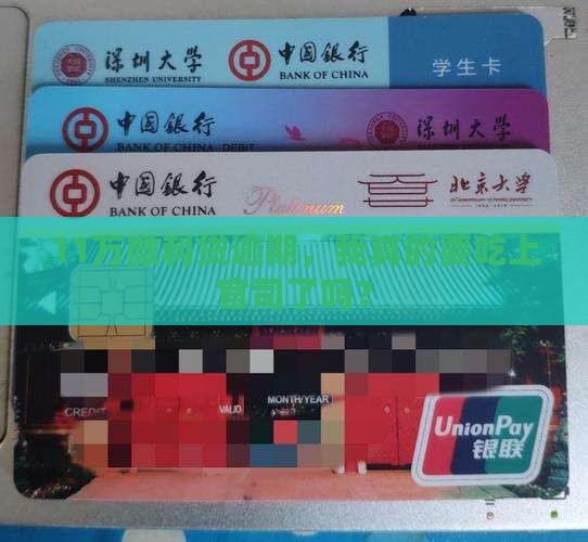 欠微利贷11万会起诉吗