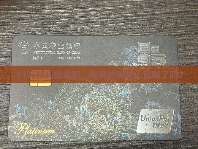 欠微利贷11万会起诉吗