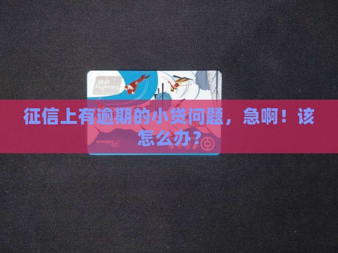 征信有逾期的小额贷款如何处理