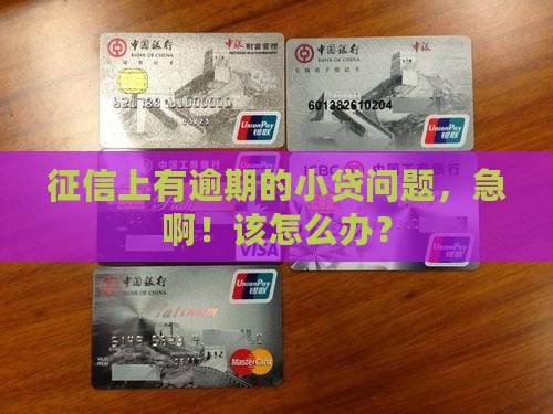 征信有逾期的小额贷款如何处理