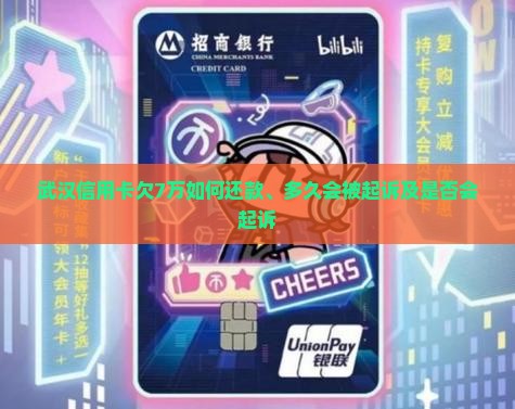 武汉信用卡欠7万
