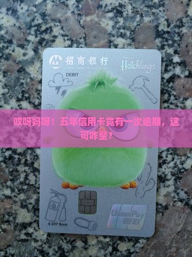 五年信用卡有一个逾期怎么处理