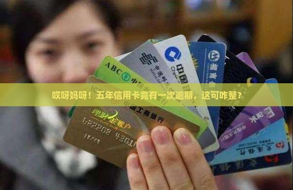 五年信用卡有一个逾期怎么处理