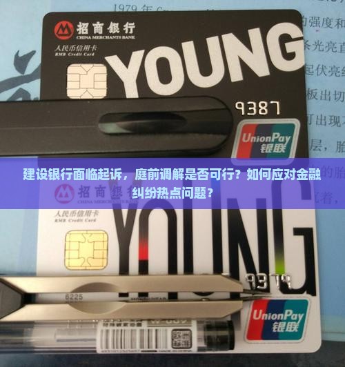 建设银行被起诉有庭前调解吗怎么办