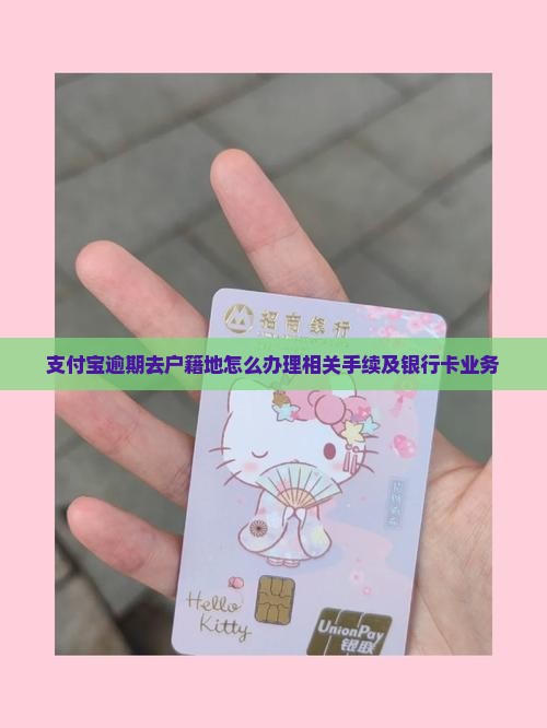 支付宝逾期去户籍地怎么办理